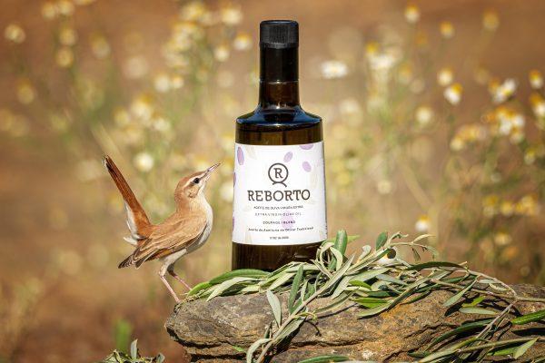Aceite de oliva virgen extra. Premium