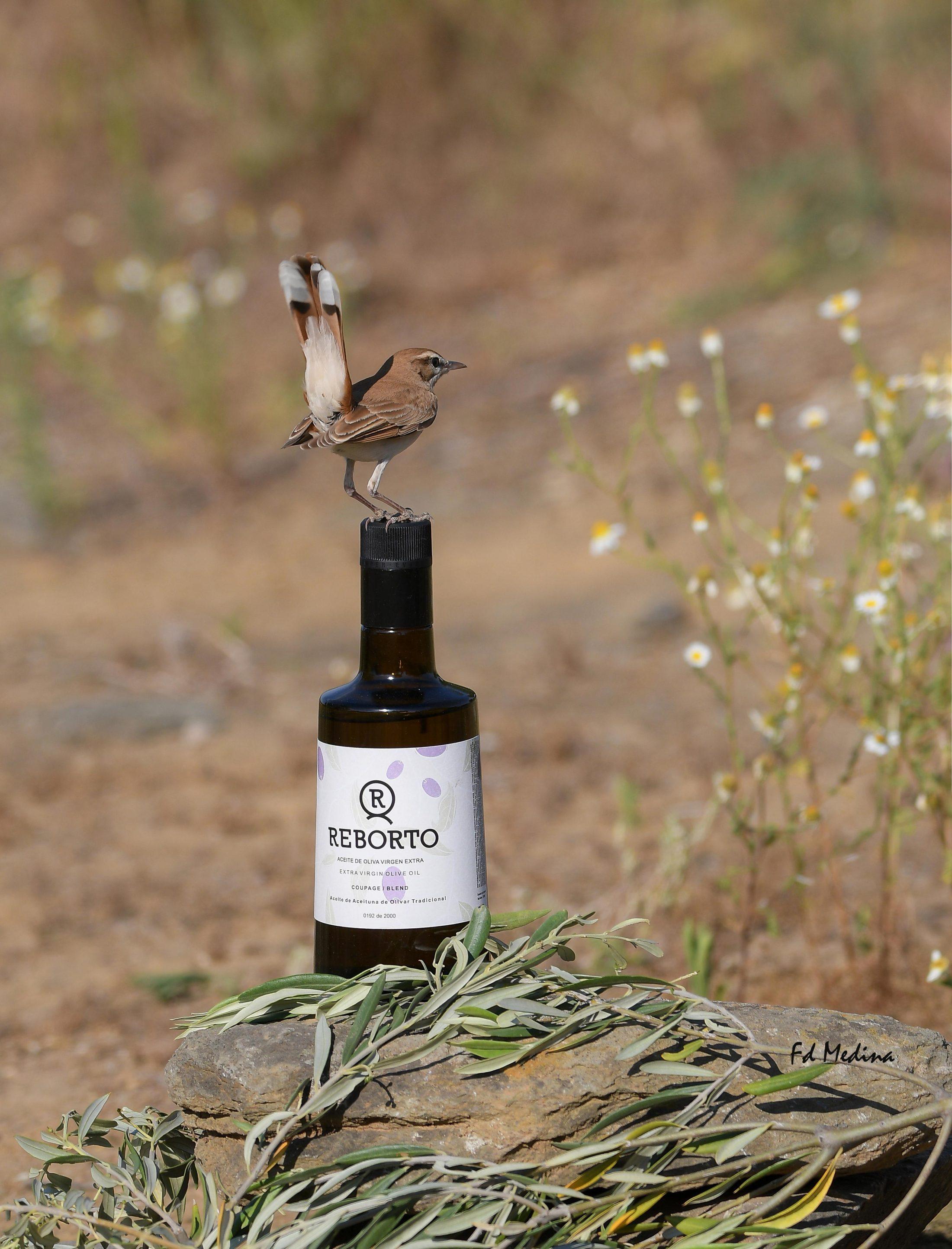 Aceite de oliva virgen extra. Premium - Imagen 7